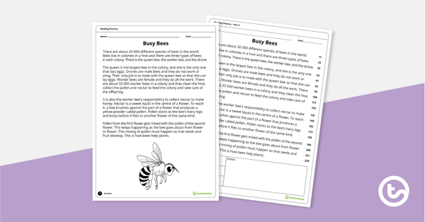 Go to Reading Fluency – Busy Bees (Year 5) teaching resource