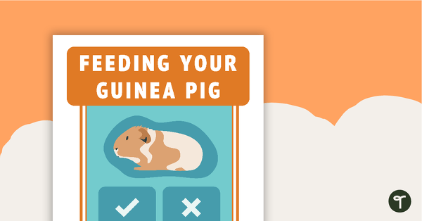 Feeding Your Guinea Pig Poster - Vet's Surgery teaching resource