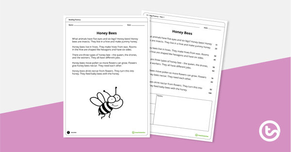 Reading Fluency Passage – Honey Bees (Year 1) teaching resource