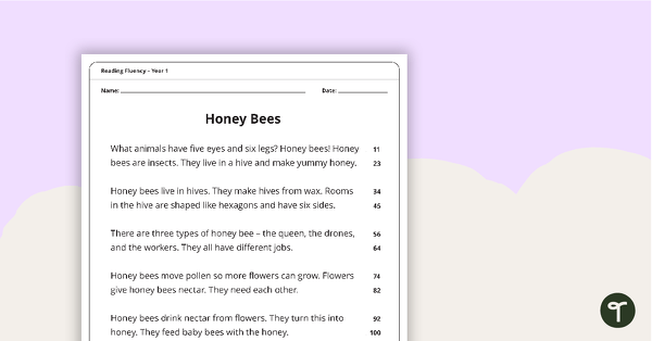 Reading Fluency Passage – Honey Bees (Year 1) teaching resource