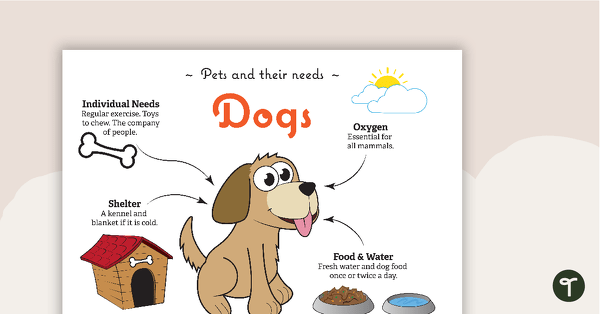Go to Pets and Their Needs Posters teaching resource