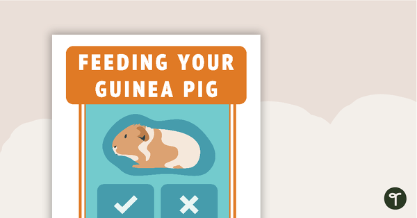 Go to Feeding Your Guinea Pig Poster - Vet's Surgery teaching resource