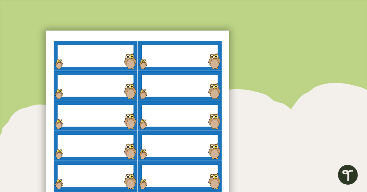 Desk Name Tags - Owls teaching resource