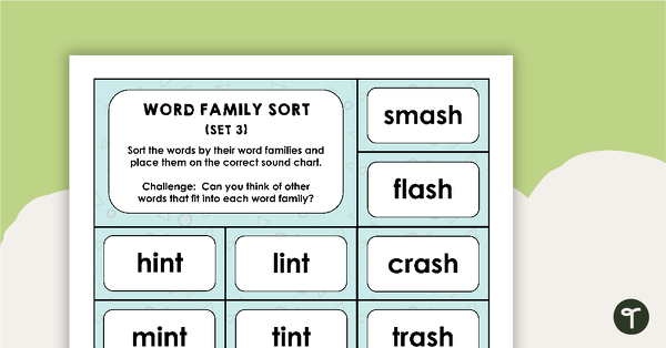 Word Family Sorting Activity - Set 3 teaching resource