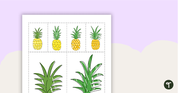 Pineapples - Cut Out Decorations teaching resource