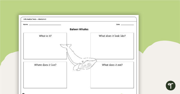 Informative Text Structure - Sorting Activity (Baleen Whales) teaching resource