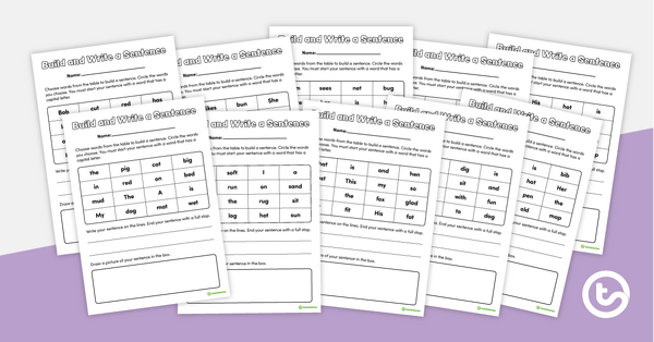 Preview image for Build and Write a Sentence – Worksheets - teaching resource