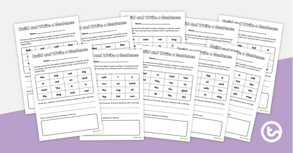 去Build and Write a Sentence – Worksheets teaching resource