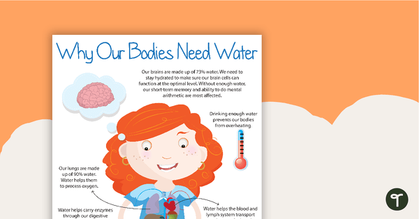 Go to Why Our Bodies Need Water Poster teaching resource