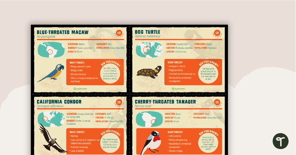 Endangered Species Facts – Task Cards teaching resource