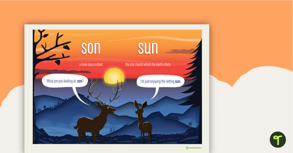 Son and Sun Homophones Poster teaching resource