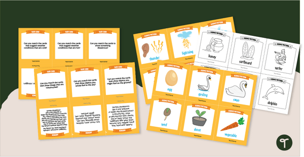 Go to Science Pattern Match Cards teaching resource