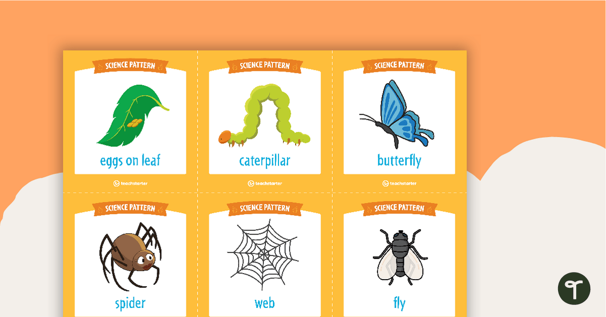 Science Pattern Match Cards teaching resource