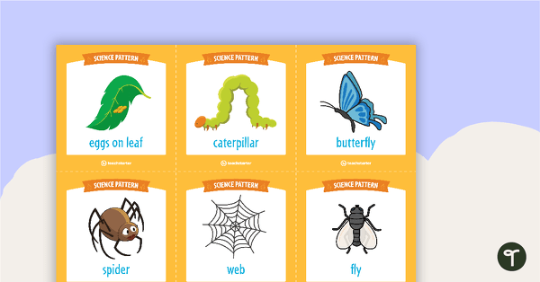Go to Science Pattern Match Cards teaching resource