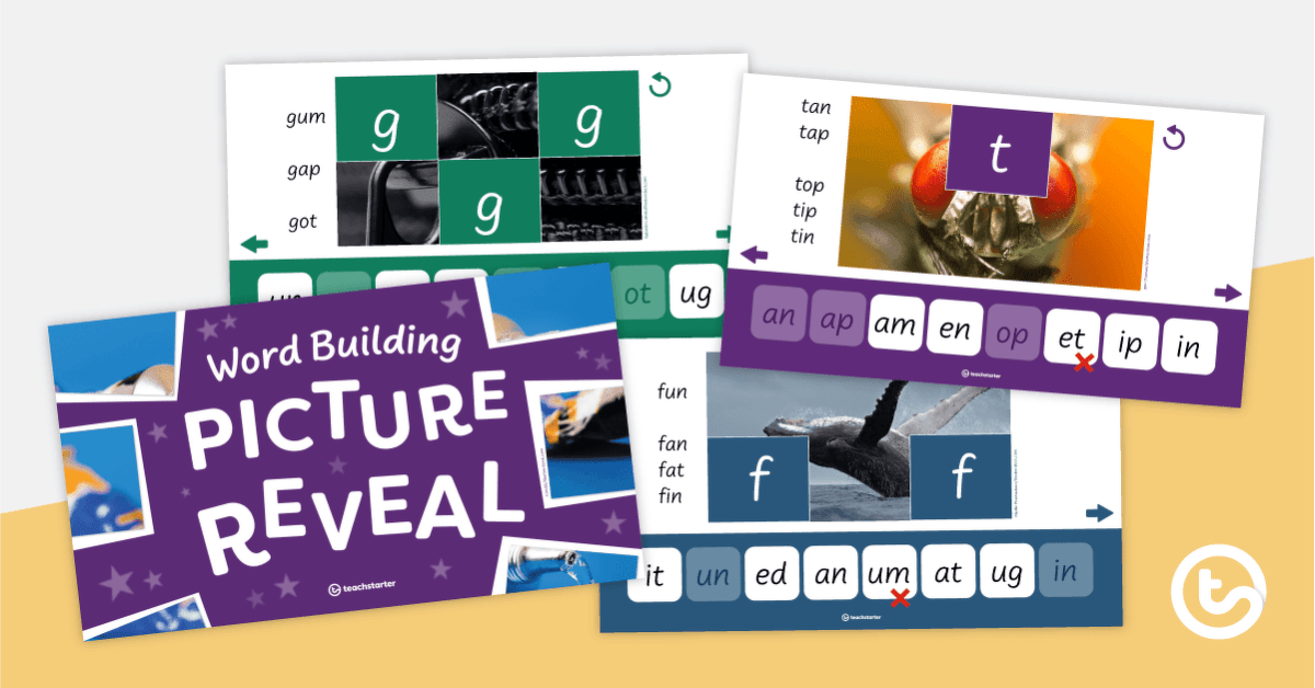 Word Building Picture Reveal PowerPoint teaching resource