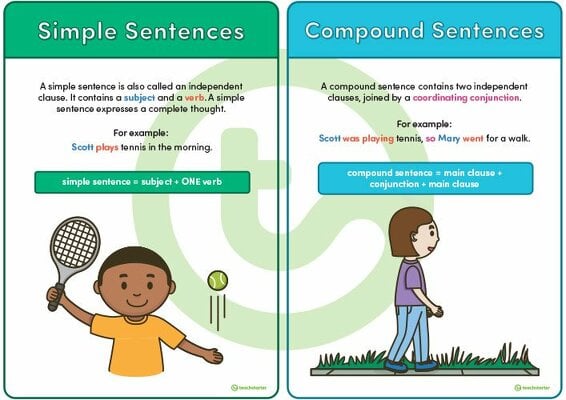 Types of Sentences Posters teaching resource