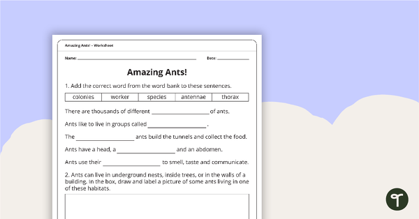 Amazing Ants! – Worksheet teaching resource