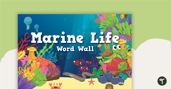 Marine Life Word Wall Vocabulary teaching resource