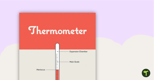 Thermometer Poster – Diagram with Labels teaching resource