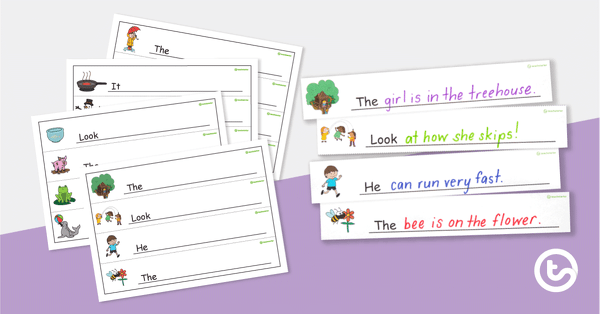 Sentence Starter Strips teaching resource