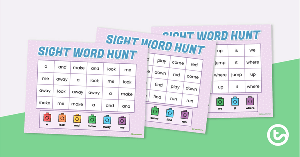 Go to Sight Word Hunt - Dolch Pre-Primer teaching resource