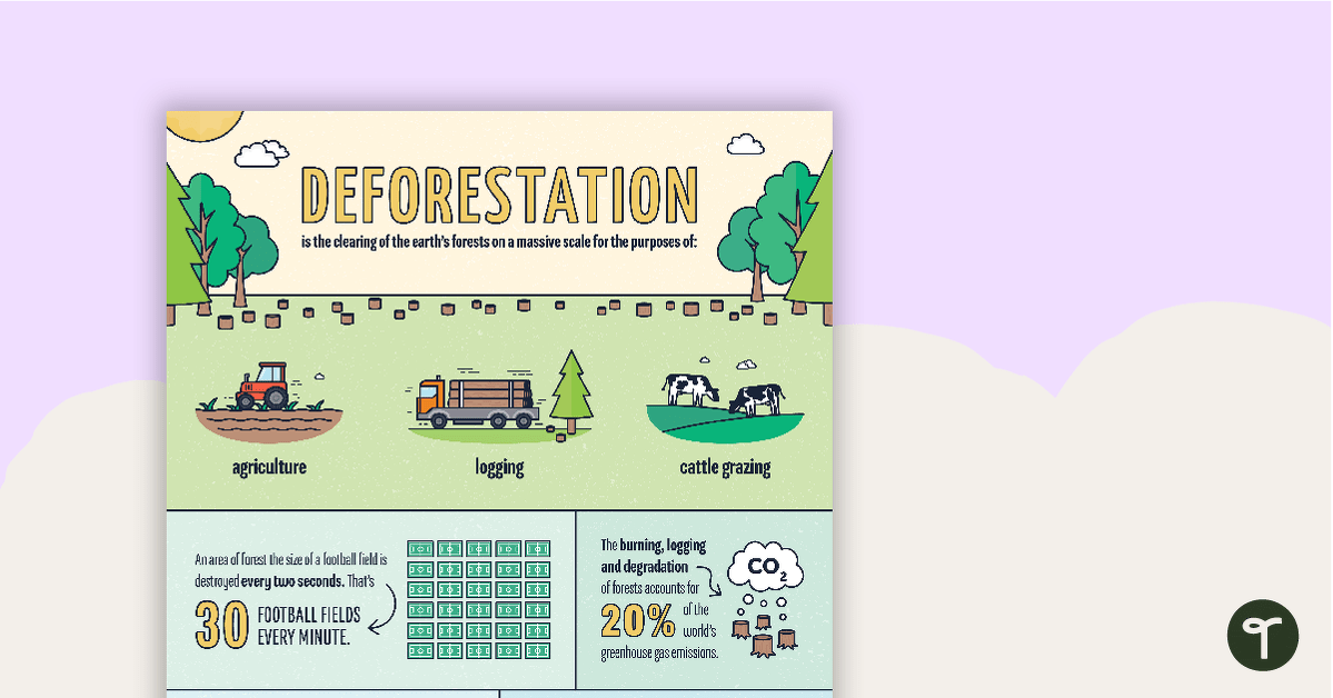 森林砍伐信息图表海报的预览图像 - 教学资源