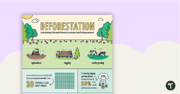Go to Deforestation Infographic Poster teaching resource