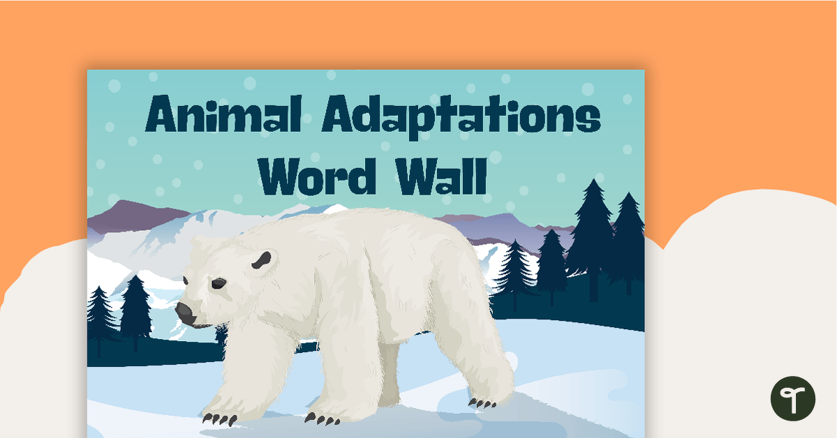 Plant and Animal Adaptations – Word Wall Vocabulary teaching resource