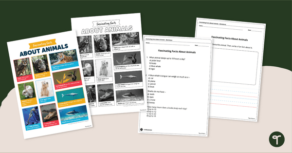 Preview image for Fascinating Facts About Animals Worksheet - teaching resource