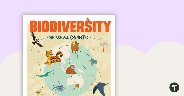 Go to Biodiversity Poster teaching resource