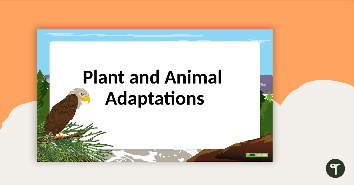 Plant And Animal Adaptations PowerPoint teaching resource