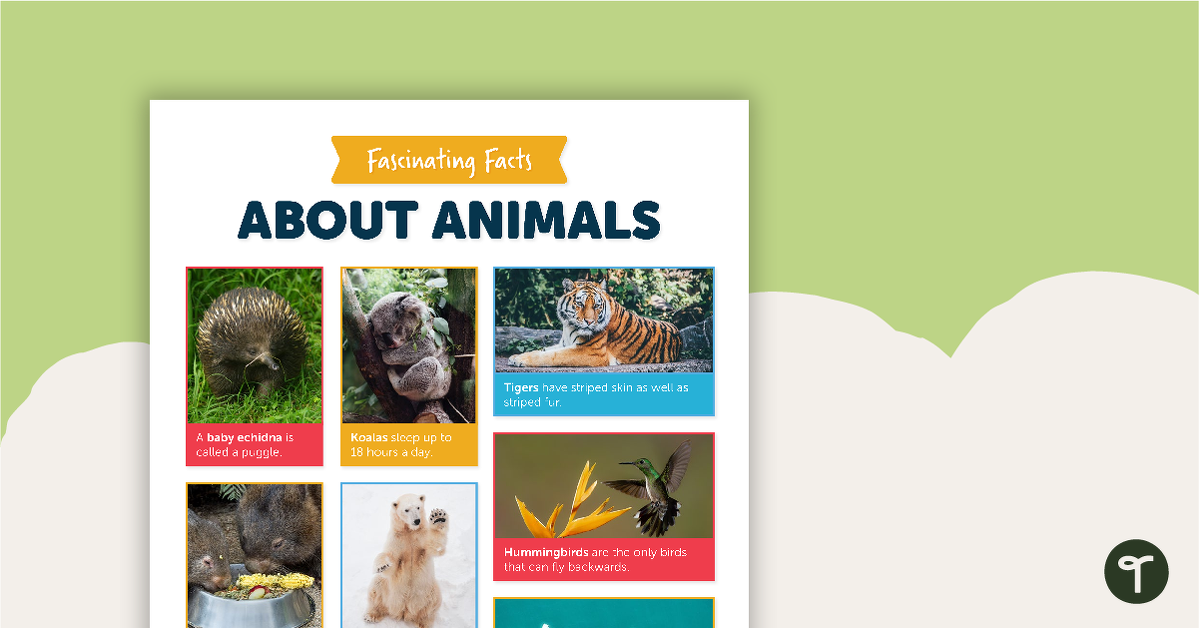 Fascinating Facts About Animals Worksheet teaching resource
