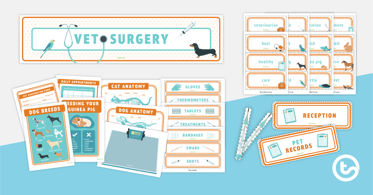 Vet's Surgery Role Play Printable Display teaching resource