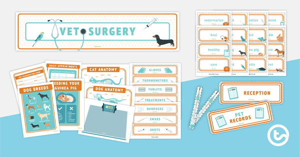 Go to Vet's Surgery Role Play Printable Display teaching resource