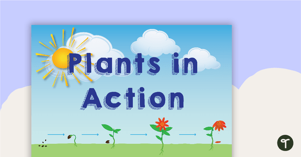 Plants in Action Word Wall Vocabulary teaching resource