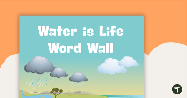 Water is Life Word Wall Vocabulary teaching resource