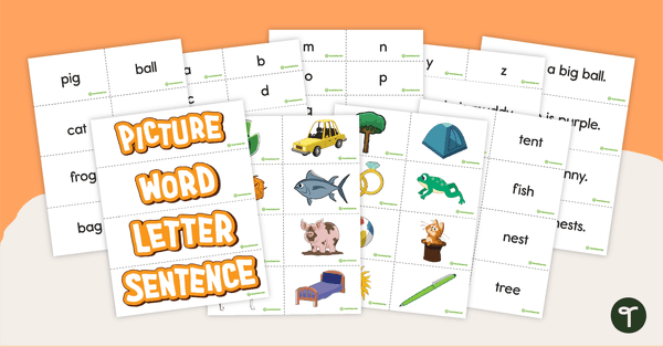 Picture, Word, Letter, or Sentence – Sorting Activity teaching resource