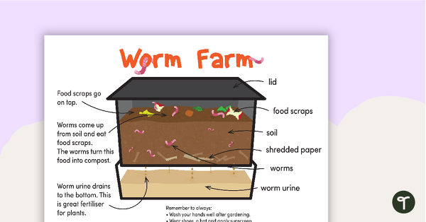 Worm Farm Poster Pack teaching resource