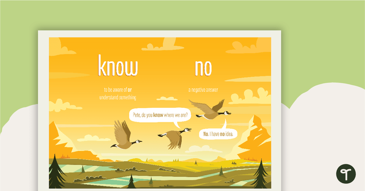 Know and No Homophones Poster teaching resource