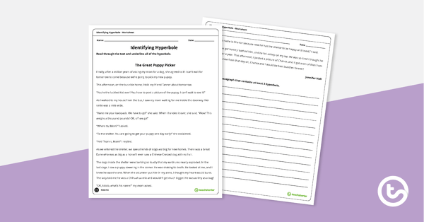 Identifying Hyperbole - Worksheet teaching resource