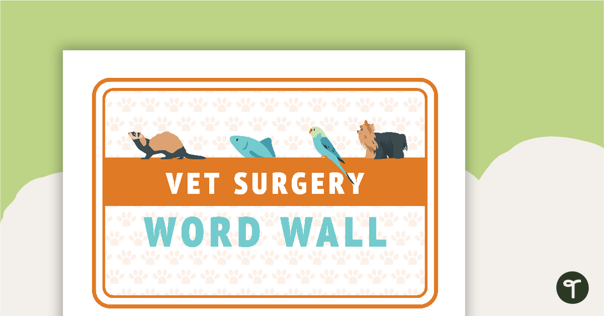 Vet's Surgery Word Wall teaching resource