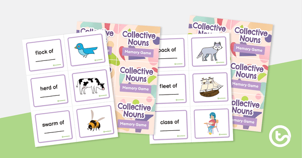 Collective Nouns Memory Game teaching resource