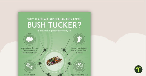 Go to Why Teach About Bush Tucker? Poster teaching resource