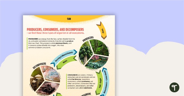Go to Producer, Consumer, Decomposer - Poster teaching resource