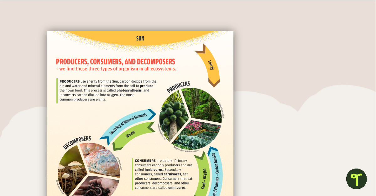 Producer, Consumer, Decomposer - Poster teaching resource