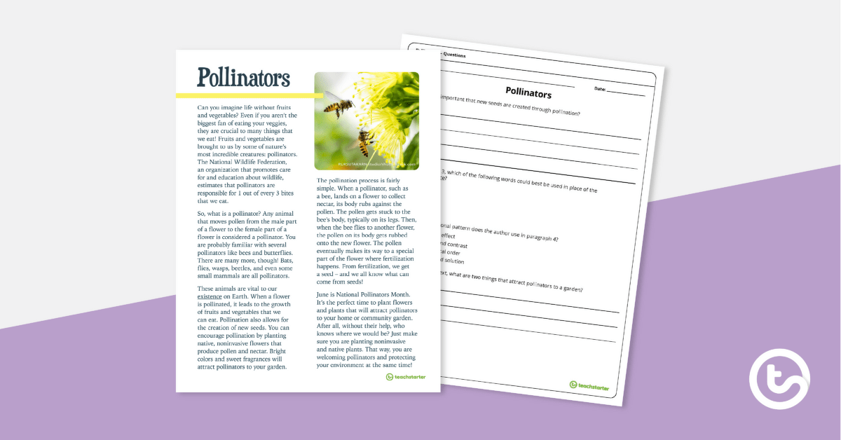 Pollinators – Comprehension Task teaching resource