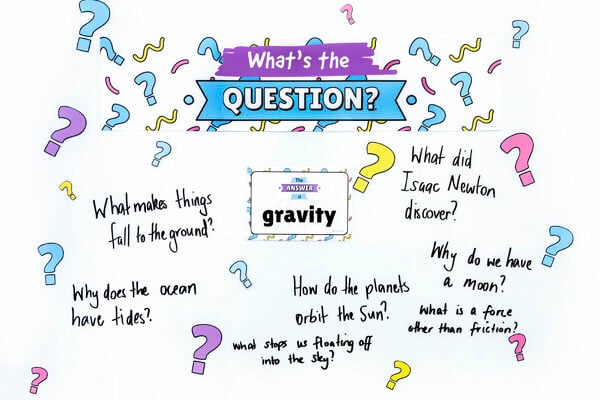 What's the Question? - Interactive Bulletin Board Display (Primary Grades) teaching resource
