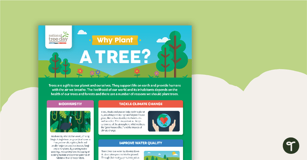 去国家树日——为什么种一棵树吗?信息图表教学资源