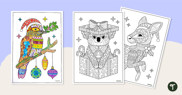 Go to Australian Animals Christmas Mindful Colouring teaching resource