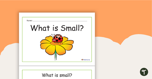 Preview image for What is Small? Concept Book - teaching resource